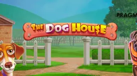 The Dog House